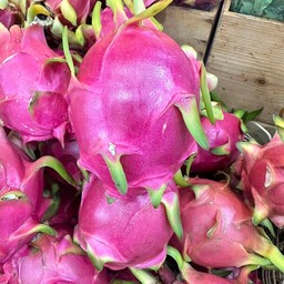 แก้วมังกรเนื้อขาว 1 ลูก