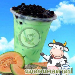 นมสดแคนตาลูป