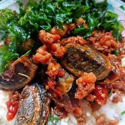 กระเพราไข่เยี่ยวม้าราดข้าว