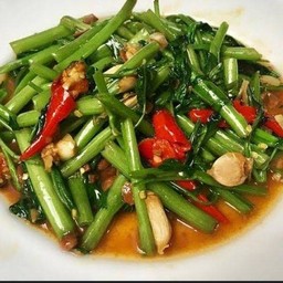 ผัดผักบุ้งราดข้าว