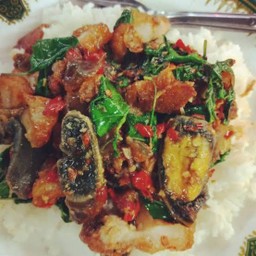 กระเพราหมูกรอบไข่เยี่ยวม้า