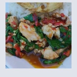 กะเพราไก่ราดข้าว  (ไม่มีไก่สับ )
