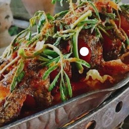 ปลาช่อนแป๊ะซะ