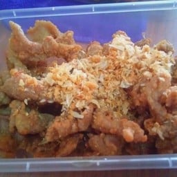ไก่ทอดกระเทียมกับข้าว  (อกไก่เนื้อล้วนไม่มีหนัง )