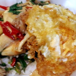 กระเพราเห็ดไข่ดาว