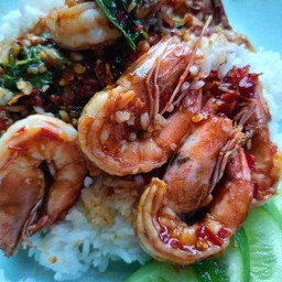 กระเพรากุ้งราดข้าว