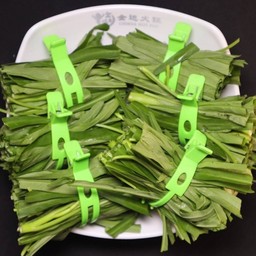 ผักบุ้ง