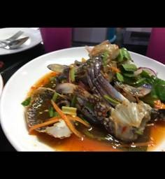 MENU_1896353hK_1688929647
