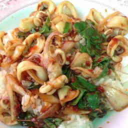 ผัดกระเพราปลาหมึกราดข้าว