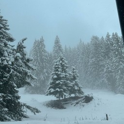 Murren