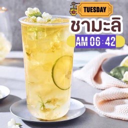 ชามะลิ