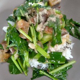 ข้าวคะน้าหมูกรอบ