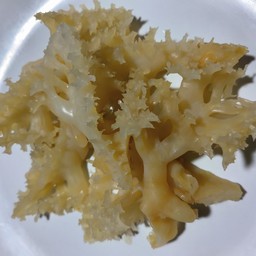 กระพรุนลวกจิ้ม