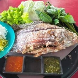 ป.ปลาเผาถ่าน ป.ปลาเผาถ่าน