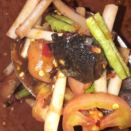 ตำไหลบัว.