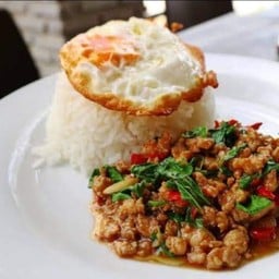 พลังใบกะเพรา ทุ่งสง