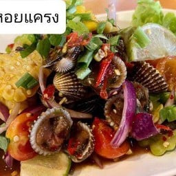 ยำหอยแครง