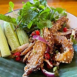 น้ำตกคอหมูย่าง