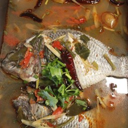 ต้มยำปลานิล