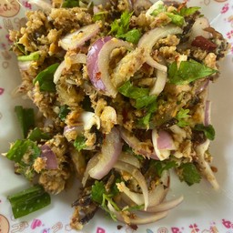 ส้มตำป้าคูณใต้ต้นมะม่วง
