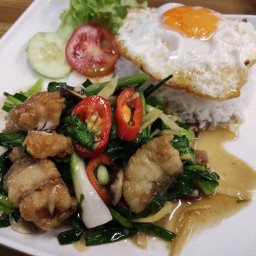 ปลากะพงผัดขึ้นฉ่ายราดข้าว Stir Fried Seabass with Celery