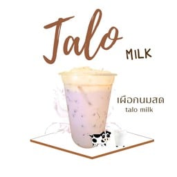 เผือกนมสด