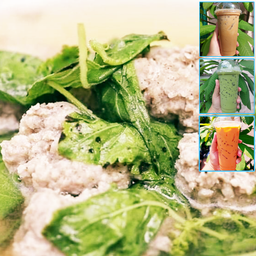 จับคู่ถูกกว่า ต้มจืดหมูสับใบกระเพรา+เครื่องดื่มเย็นๆ