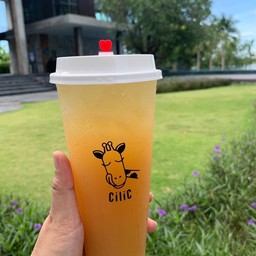 ส้มจี๊ดชามะลิ