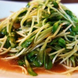 ยอดอ่อนทานตะวัน