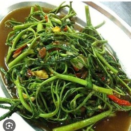 กระเฉดไฟแดง