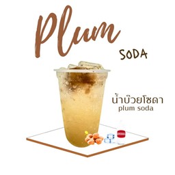 Honey Lemon Plum Fizzy Soda