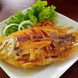 ปลาทับทิบทอดน้ำปลา