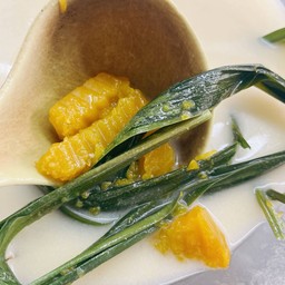 ฝักทองบวช