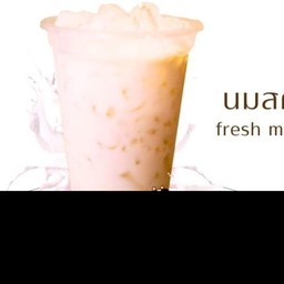 นมสดเย็น