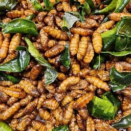 ร้านแมลงทอดน้องอันอัน