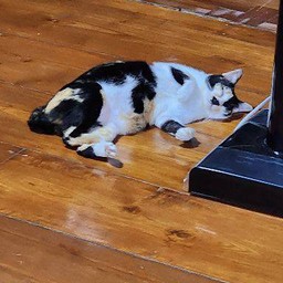 C DE CAF - สันทราย -