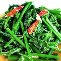 ยอดมะระไฟแดง