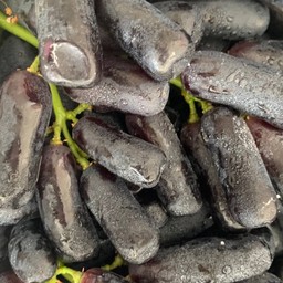 องุ่นนิ้วมือแม่มด