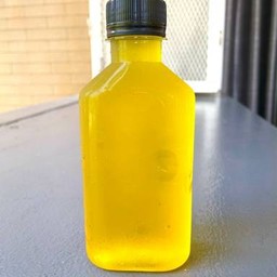 เก๊กฮวย