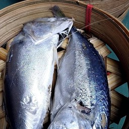 สมหญิงปลาทูนึ้ง ท้ายเมือง