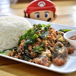 ข้าวราดกะเพราไข่เยี่ยวม้า(เนื้อสับ)