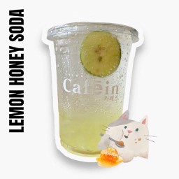 ICED HONEY LEMON SODA