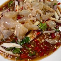 ยำแมงกระพรุน