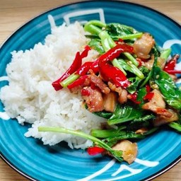 ผัดคะน้าใส่หมูสามชั้นราดข้าว