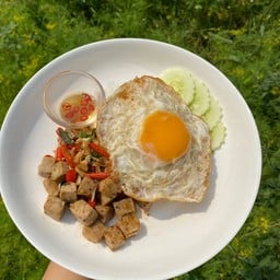 ข้าวราดกะเพราหมูยอ