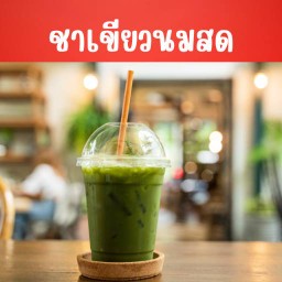 Green Tea Fresh Milk