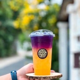 อัญชันส้มพีช