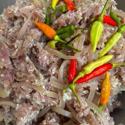 แหนมหมู (จิ้นส้ม)