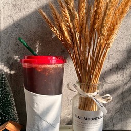 The coffee (กาแฟร้านแอน)