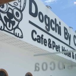 Cafe Dogchi By Cocoa